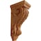 Ekena Millwork 5"W x 7"D x 14"H Large Acanthus Wood Corbel, Red Oak CORW05X07X14ACRO - alternate 1